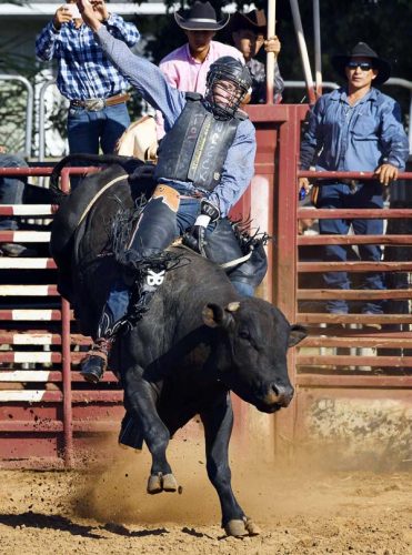 Makawao Rodeo concludes four-day run | News, Sports, Jobs - Maui News